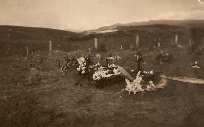 Boje u Rosvigova  na Podkarpatské Rusi v lednu 1939
